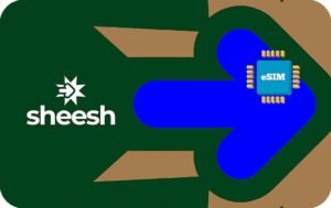 Sheesh 3 GB - 30 days