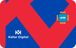 Kallur Digital Unlimited - 10 days