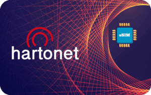 Hartonet 2 GB - 15 days