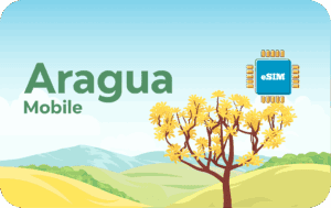 Aragua Mobile 10 GB - 30 days