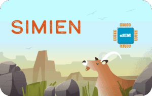Simien 1 GB - 7 days