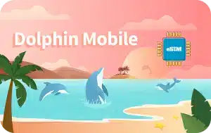 Dolphin Mobile 1 GB - 7 days