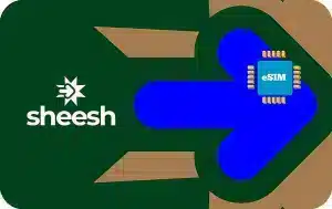 Sheesh 10 GB - 30 days